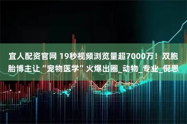 宜人配资官网 19秒视频浏览量超7000万!双胞胎博主让“宠物医学”火爆出圈_动物_专业_倪思