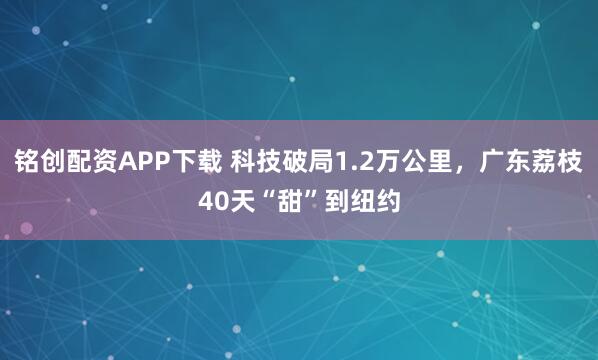 铭创配资APP下载 科技破局1.2万公里，广东荔枝40天“甜”到纽约