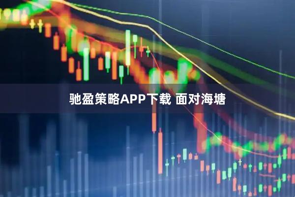 驰盈策略APP下载 面对海塘