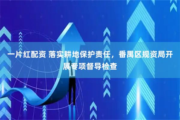 一片红配资 落实耕地保护责任，番禺区规资局开展专项督导检查